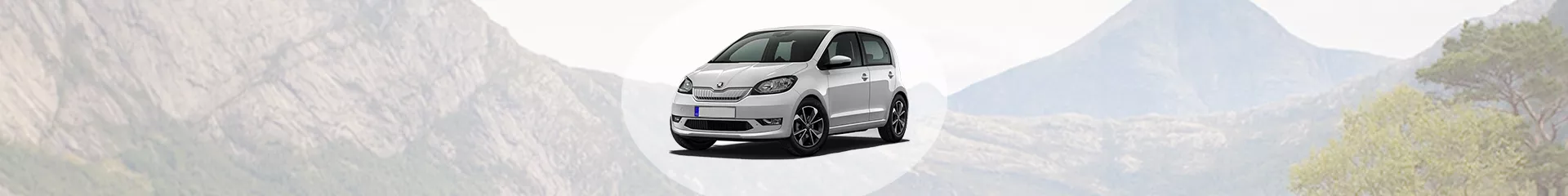 Citigo
